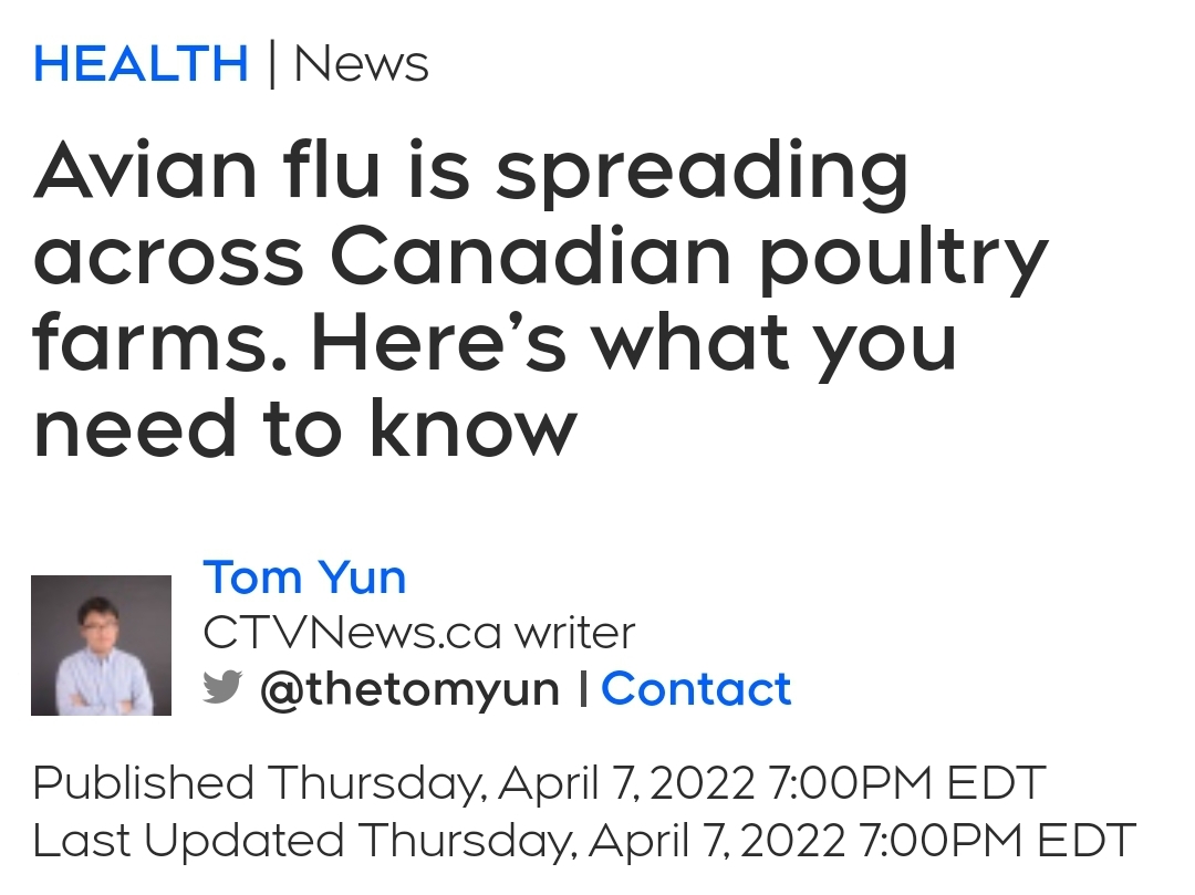 Avian Flu 2022 Updates And Info Red Barn Farm 2543