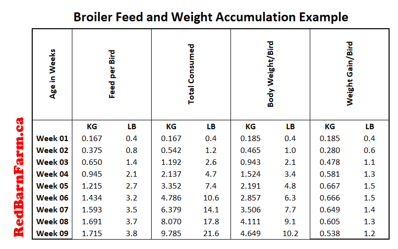 How Much Feed Does An Average Broiler Consume Red Barn Farm